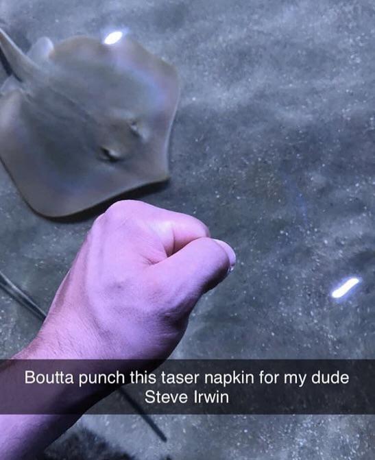 mouth - Boutta punch this taser napkin for my dude Steve Irwin
