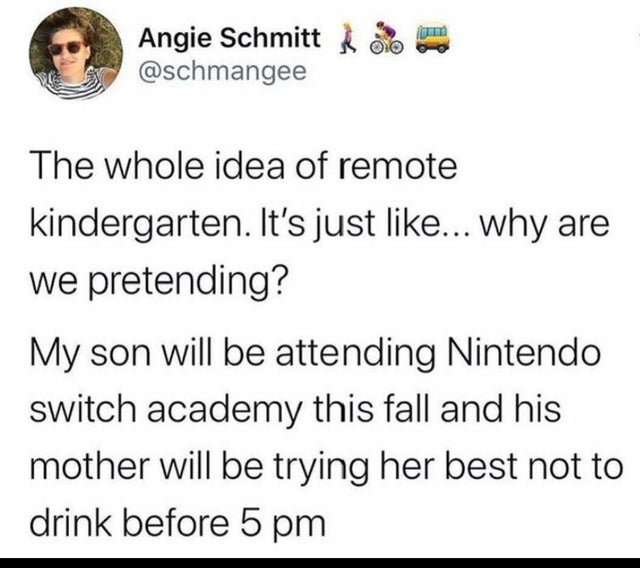document - Angie Schmitt The whole idea of remote kindergarten. It's just ... why are we pretending? My son will be attending Nintendo switch academy this fall and his mother will be trying her best not to drink before 5 pm