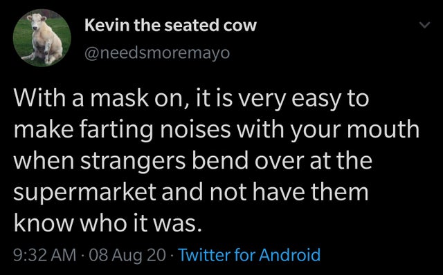 mekita rivas bloomberg tweet - Kevin the seated cow With a mask on, it is very easy to make farting noises with your mouth when strangers bend over at the supermarket and not have them know who it was. 08 Aug 20 Twitter for Android