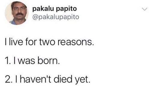 pakalu papito quotes - pakalu papito I live for two reasons. 1. I was born. 2. I haven't died yet.