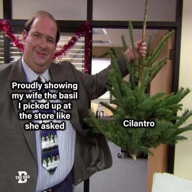 Internet meme - Proudly showing my wife the basil I picked up at the store she asked Cilantro The Dad
