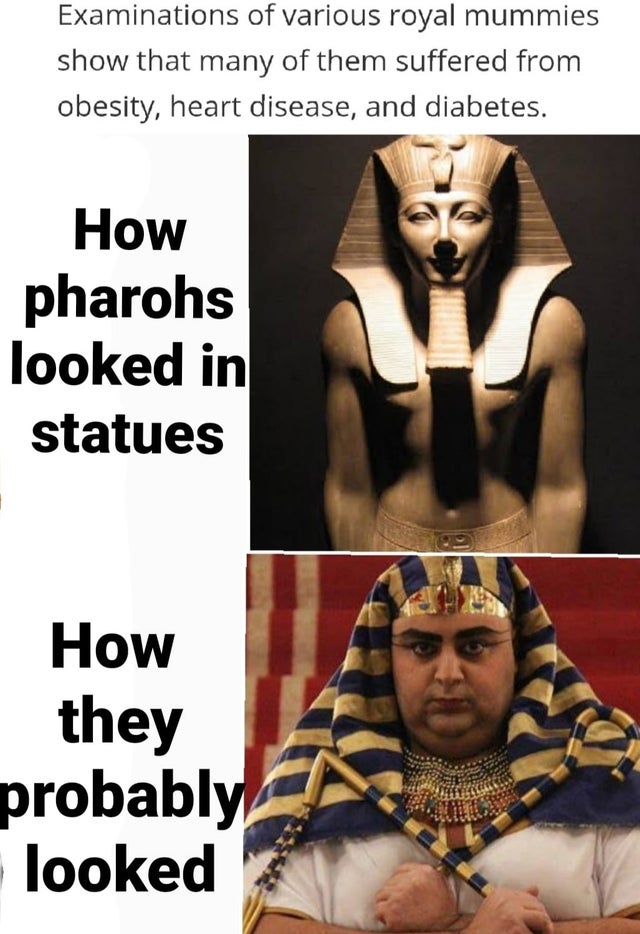 thutmose iii - Examinations of various royal mummies show that many of them suffered from obesity, heart disease, and diabetes. How pharohs looked in statues How they probably looked