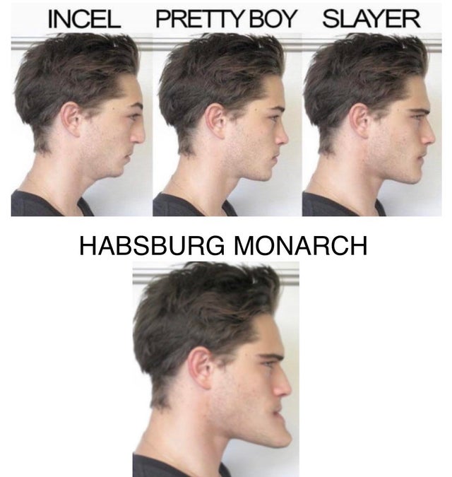 ifunny incels - Incel Prettyboy Slayer Habsburg Monarch