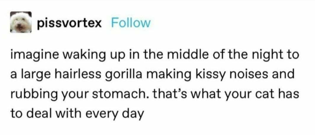Text - pissvortex imagine waking up in the middle of the night to a large hairless gorilla making kissy noises and rubbing your stomach. that's what your cat has to deal with every day