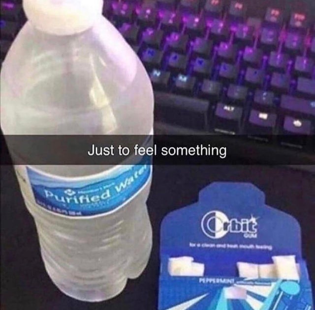mint gum and water just to feel something meme - Just to feel something Wate purified Puipemen