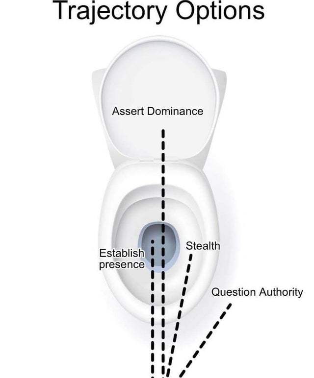neck - Trajectory Options Assert Dominance Stealth Establish presence Question Authority