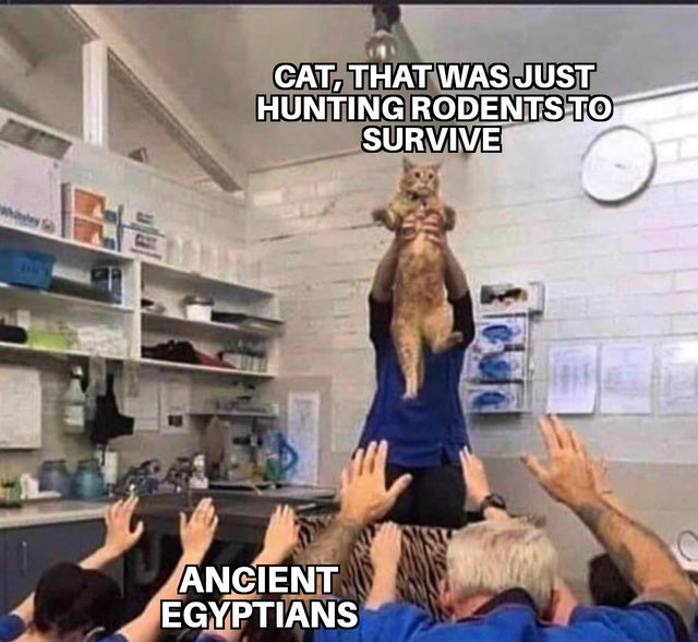 worship your girlfriend - Cat, That Was Just Hunting Rodents To Survive Ancient Egyptians
