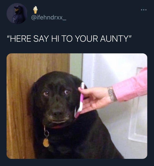 "Here Say Hi To Your Aunty"