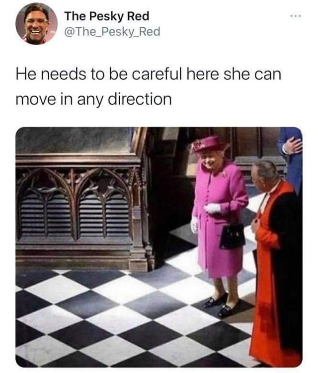 funny memes hysterical memes - The Pesky Red He needs to be careful here she can move in any direction