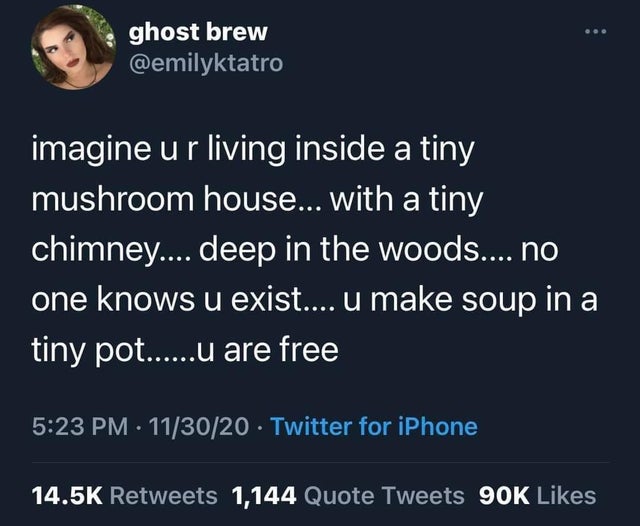 presentation - ghost brew imagine ur living inside a tiny mushroom house... with a tiny chimney.... deep in the woods.... no one knows u exist.... u make soup in a tiny pot......u are free 113020 Twitter for iPhone 1,144 Quote Tweets 90K