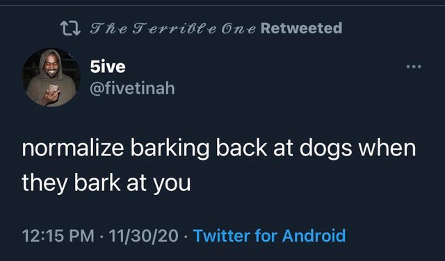 we all have that one friend who crosses the street like they don t care about life - 12 The Terrible One Retweeted 5ive normalize barking back at dogs when they bark at you 113020 Twitter for Android
