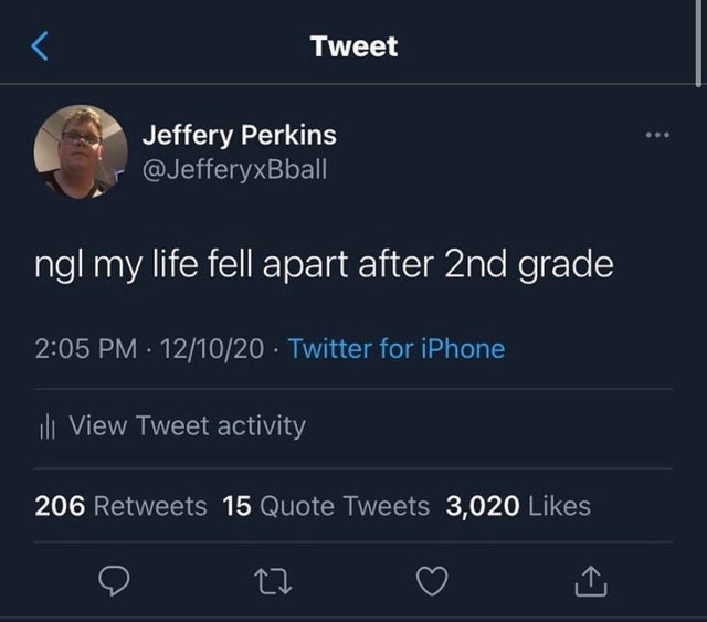 screenshot - Tweet Jeffery Perkins ngl my life fell apart after 2nd grade 121020 Twitter for iPhone ill View Tweet activity 206 15 Quote Tweets 3,020