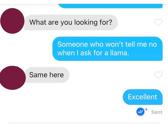 communication - What are you looking for? Someone who won't tell me no when I ask for a llama. Same here Excellent Vi Sent