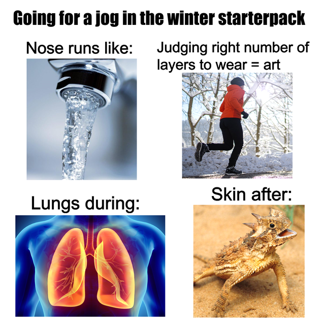 water - Going for a jog in the winter starterpack Nose runs Judging right number of layers to wear art Skin after Lungs during