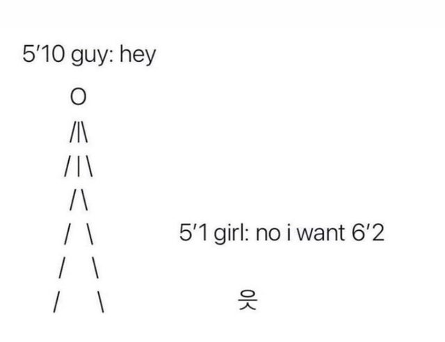 diagram - 5'10 guy hey 0 N ||| \ | | 5'1 girl no i want 6'2 |