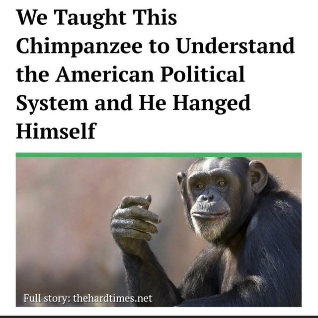 return to monke political compass - We Taught This Chimpanzee to Understand the American Political System and He Hanged Himself Full story thehardtimes.net