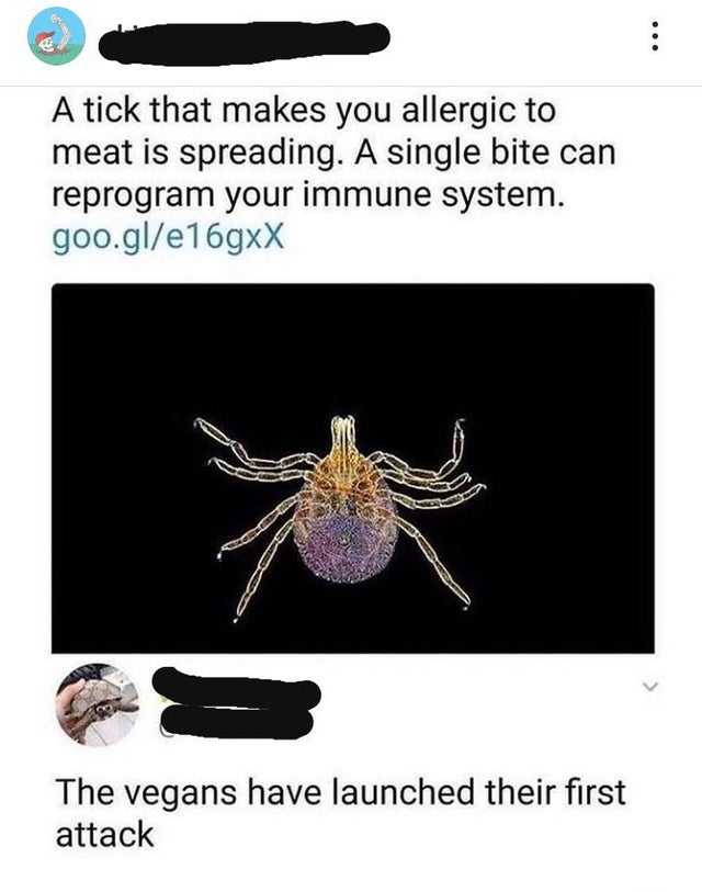 culling memes - A tick that makes you allergic to meat is spreading. A single bite can reprogram your immune system. goo.gle16gxX The vegans have launched their first attack