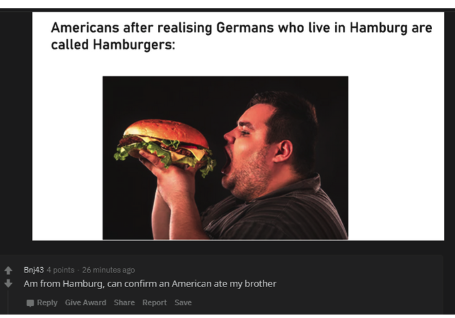 photo caption - Americans after realising Germans who live in Hamburg are called Hamburgers 3 Bn143 4 points 26 minutes ago Am from Hamburg, can confirm an American ate my brother | Give Award Report Save