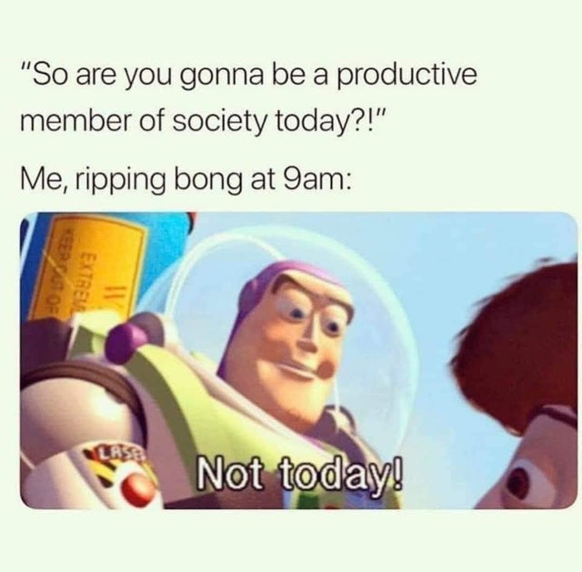 weed memes 2020 - "So are you gonna be a productive member of society today?!" Me, ripping bong at 9am Bor Extreil Not today!