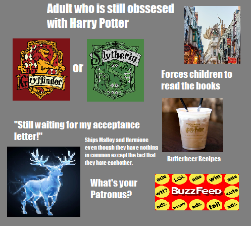 graphic design - Adult who is still obssesed with Harry Potter Slytherin or ryffindor Forces children to read the books Pole "Still waiting for my acceptance letter!" Ships Malfoy and Hermione even though they have nothing in common except the fact that t