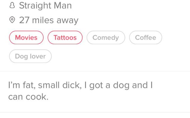diagram - 8 Straight Man 27 miles away Movies Tattoos Comedy Coffee Dog lover I'm fat, small dick, I got a dog and I can cook.