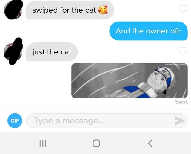 communication - swiped for the cat And the owner ofc just the cat Sent Gif Type a message... V Iii