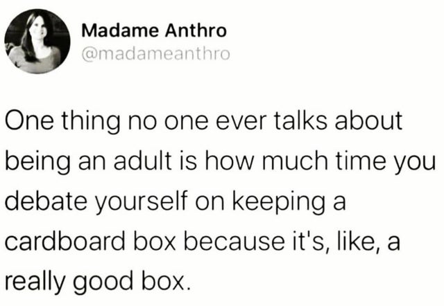 Madame Anthro One thing no one ever talks about being an adult is how much time you debate yourself on keeping a cardboard box because it's, , a really good box