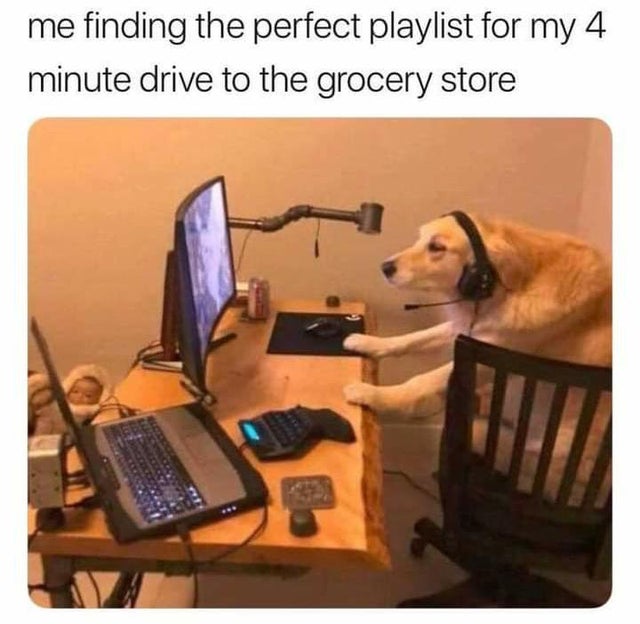 dog gaming meme - me finding the perfect playlist for my 4 minute drive to the grocery store
