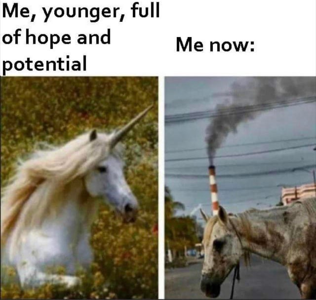 unicorns extinct - Me, younger, full of hope and potential Me now