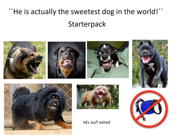 funny starter pack memes - he is actually the sweetest dog in the world starterpack