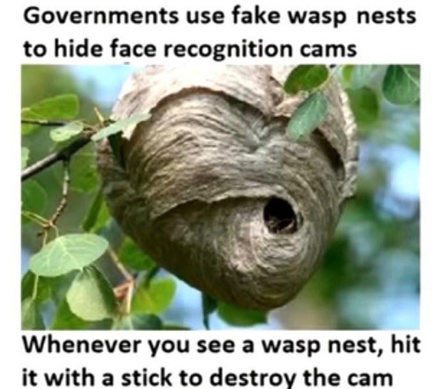 governments use fake wasp nests - Governments use fake wasp nests to hide face recognition cams Whenever you see a wasp nest, hit it with a stick to destroy the cam