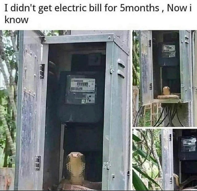 I didn't get electric bill for 5months, Now i know Le Lar