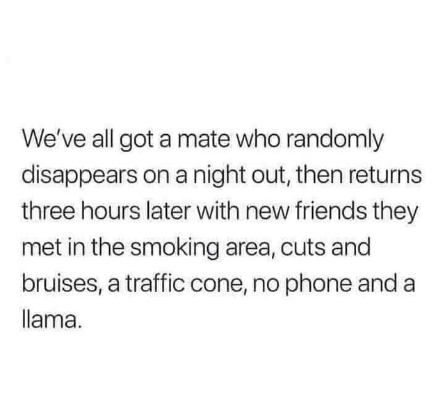 life is too short instagram quotes - We've all got a mate who randomly disappears on a night out, then returns three hours later with new friends they met in the smoking area, cuts and bruises, a traffic cone, no phone and a llama.