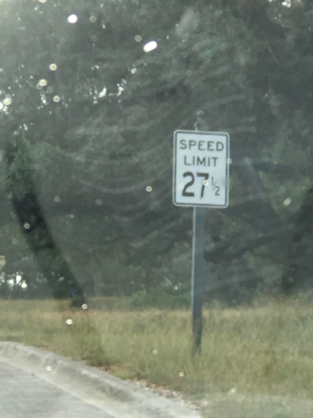 tree - Speed Limit 271