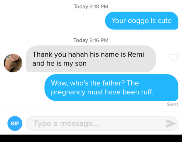 communication - Today Your doggo is cute Today Thank you hahah his name is Remi and he is my son Wow, who's the father? The pregnancy must have been ruff. Sent Gif Type a message... V