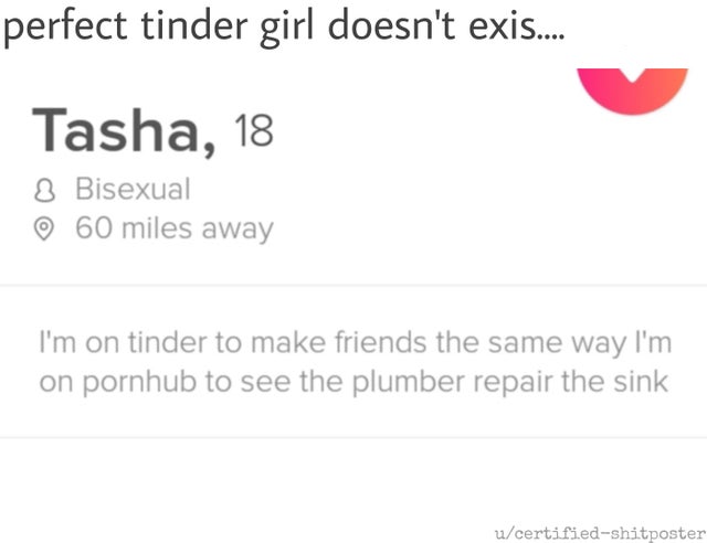 paper - perfect tinder girl doesn't exis.... Tasha, 18 8 Bisexual 60 miles away I'm on tinder to make friends the same way I'm on pornhub to see the plumber repair the sink ucertifiedshitposter