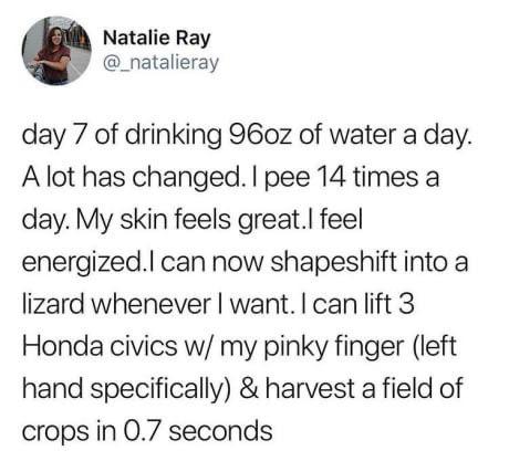 meme gordon ramsay forehead - Natalie Ray day 7 of drinking 96oz of water a day. A lot has changed. I pee 14 times a day. My skin feels great.I feel energized.I can now shapeshift into a lizard whenever I want. I can lift 3 Honda civics w my pinky finger 