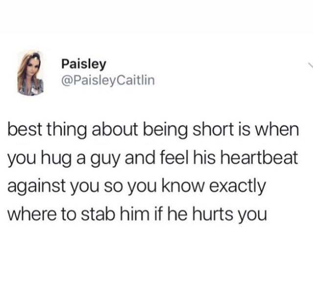 low ponytail meme colonial - Paisley Caitlin best thing about being short is when you hug a guy and feel his heartbeat against you so you know exactly where to stab him if he hurts you
