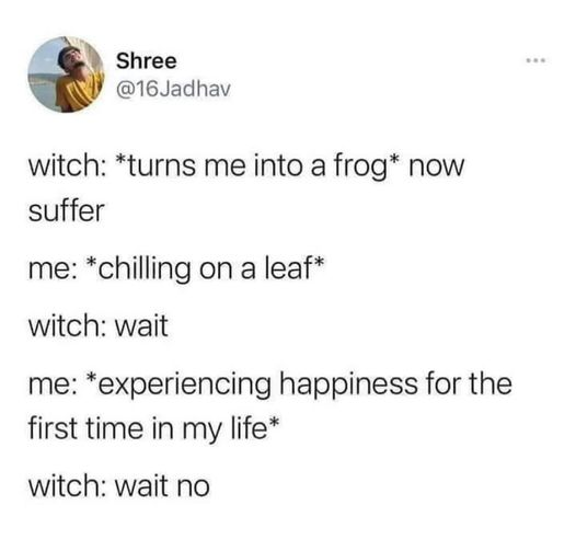 TWICE - Shree witch turns me into a frog now suffer me chilling on a leaf witch wait me experiencing happiness for the first time in my life witch wait no