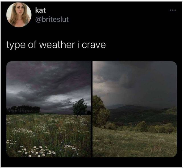 type of weather i crave meme - kat type of weather i crave