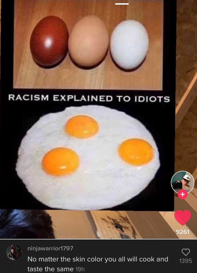fried egg - Racism Explained To Idiots 9261 ninjawarrior1797 No matter the skin color you all will cook and taste the same 19h 1395