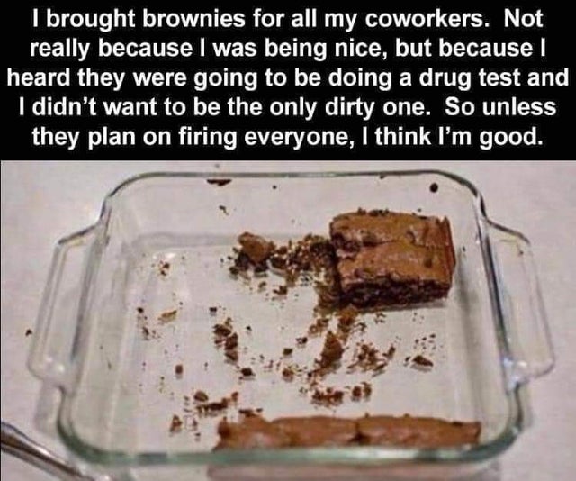 brought brownies in for all my coworkers - I brought brownies for all my coworkers. Not really because I was being nice, but because I heard they were going to be doing a drug test and I didn't want to be the only dirty one. So unless they plan on firing 