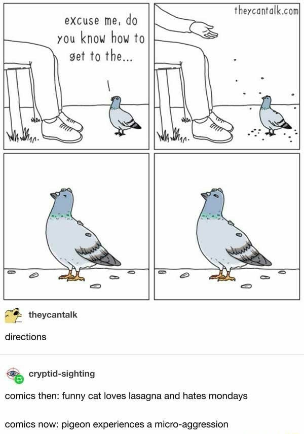 pigeon experiences a microaggression - theycantalk.com excuse me, do You know how to get to the... > e theycantalk directions cryptidsighting comics then funny cat loves lasagna and hates mondays comics now pigeon experiences a microaggression