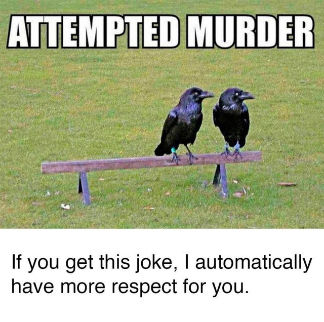 fauna - Attempted Murder If you get this joke, I automatically have more respect for you.