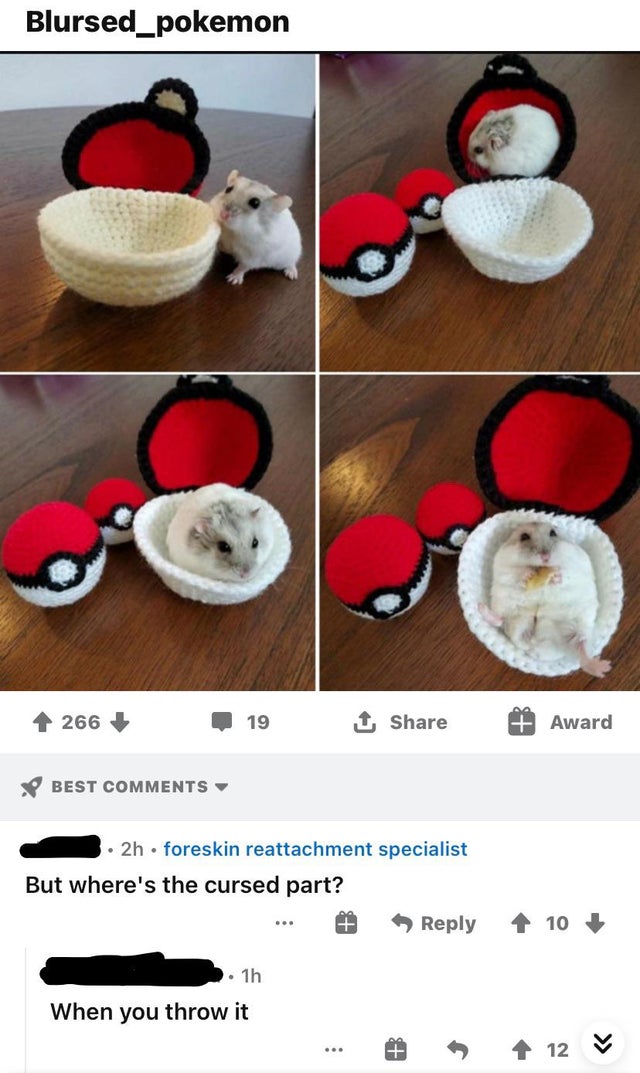 photo caption - Blursed_pokemon 266 19 1 Award Best 2h foreskin reattachment specialist But where's the cursed part? 10 . 1h When you throw it 12 V