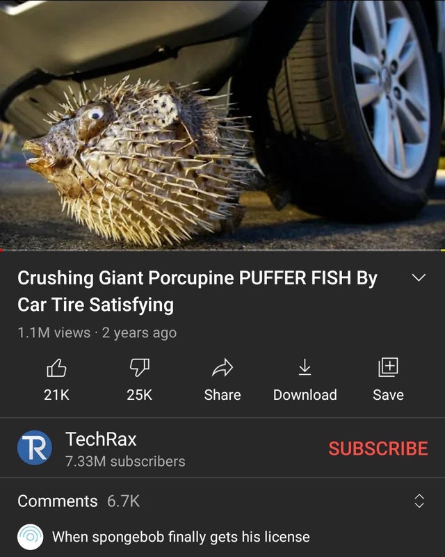 wheel - Crushing Giant Porcupine Puffer Fish By Car Tire Satisfying 1.1M views 2 years ago 21K 25K Download Save R TechRax Subscribe 7.33M subscribers When spongebob finally gets his license