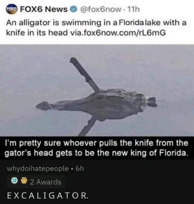 airplane - Roko FOX6 News . 11h An alligator is swimming in a Florida lake with a knife in its head via.fox6now.comrL6mG I'm pretty sure whoever pulls the knife from the gator's head gets to be the new king of Florida. whydoihatepeople. 6h 2 Awards Excali