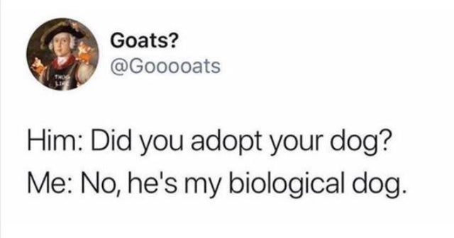 generation is too comfortable with going - Goats? Him Did you adopt your dog? Me No, he's my biological dog.