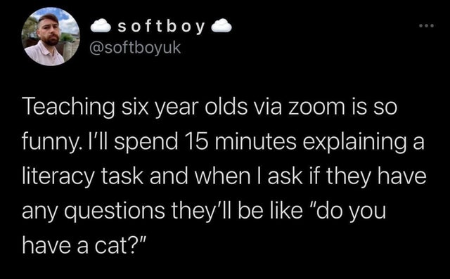 darkness - softboy Teaching six year olds via zoom is so funny. I'll spend 15 minutes explaining a literacy task and when I ask if they have any questions they'll be "do you have a cat?"