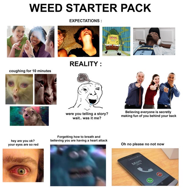 human behavior - Weed Starter Pack Expectations Reality coughing for 10 minutes were you telling a story? wait.. was it me? Believing everyone is secretly making fun of you behind your back hey are you ok? your eyes are so red Forgetting how to breath and